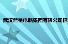武漢藍星電腦集團有限公司招聘（武漢藍星電腦集團有限公司）