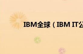 IBM全球（IBM IT公司-國際商業(yè)機(jī)器公司）