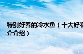 特別好養(yǎng)的冷水魚（十大好看又好養(yǎng)的冷水魚有哪些相關(guān)內(nèi)容簡介介紹）
