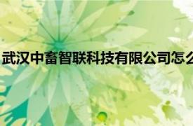 武漢中畜智聯科技有限公司怎么樣（武漢中畜智聯科技有限公司）