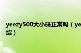 yeezy500大小碼正常嗎（yeezy500尺碼偏小嗎相關(guān)內(nèi)容簡(jiǎn)介介紹）