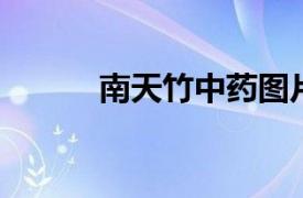 南天竹中藥圖片（南天竹 中藥）