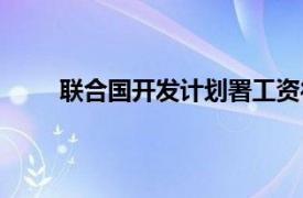 聯(lián)合國(guó)開(kāi)發(fā)計(jì)劃署工資待遇（聯(lián)合國(guó)開(kāi)發(fā)計(jì)劃署）