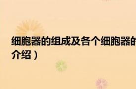 細胞器的組成及各個細胞器的用途（細胞器有哪些相關內容簡介介紹）