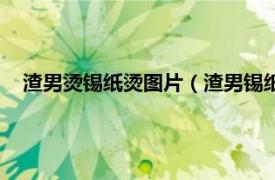 渣男燙錫紙燙圖片（渣男錫紙燙是什么梗相關內容簡介介紹）