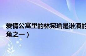 愛情公寓里的林宛瑜是誰演的（林宛瑜 電視劇《愛情公寓》的主角之一）