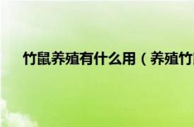 竹鼠養(yǎng)殖有什么用（養(yǎng)殖竹鼠有銷路嗎相關(guān)內(nèi)容簡介介紹）