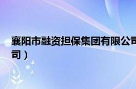 襄陽市融資擔保集團有限公司招聘（襄陽市融資擔保集團有限公司）
