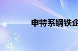 申特系鋼鐵企業（申特集團）