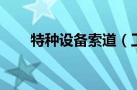 特種設備索道（工程索道 運輸工具）