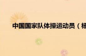 中國(guó)國(guó)家隊(duì)體操運(yùn)動(dòng)員（楊家興 中國(guó)男子體操隊(duì)運(yùn)動(dòng)員）