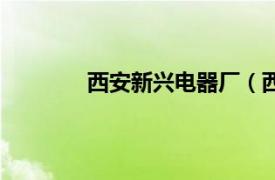 西安新興電器廠（西安新興電氣有限公司）