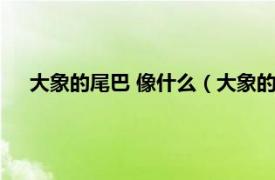 大象的尾巴 像什么（大象的尾巴像什么相關內容簡介介紹）