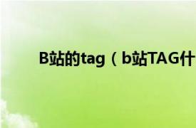 B站的tag（b站TAG什么意思相關內容簡介介紹）