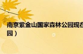 南京紫金山國家森林公園現在旅游概況（南京紫金山國家森林公園）