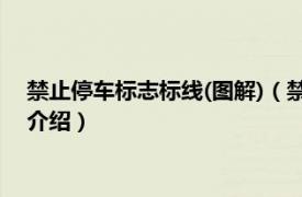 禁止停車標(biāo)志標(biāo)線(圖解)（禁止停車標(biāo)志標(biāo)線哪些相關(guān)內(nèi)容簡介介紹）