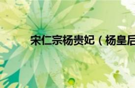 宋仁宗楊貴妃（楊皇后 南宋寧宗恭圣仁烈皇后）