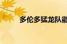 多倫多猛龍隊徽（多倫多猛龍隊）