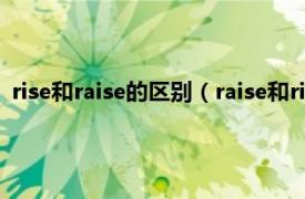 rise和raise的區別（raise和rise有什么區別相關內容簡介介紹）