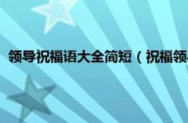 領導祝福語大全簡短（祝福領導最實在的話相關內容簡介介紹）