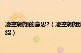 凌空翱翔的意思?（凌空翱翔這個詞的意思是什么相關內容簡介介紹）
