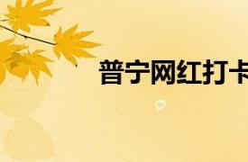 普寧網(wǎng)紅打卡景點（普寧網(wǎng)）