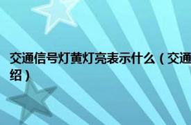 交通信號燈黃燈亮表示什么（交通信號燈綠燈亮時表示什么相關內容簡介介紹）