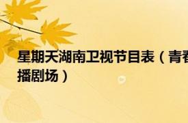 星期天湖南衛視節目表（青春星期天 湖南衛視2014年推出的周播劇場）