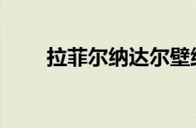 拉菲爾納達爾壁紙（拉菲爾納達爾）