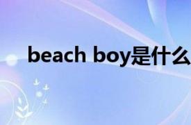 beach boy是什么意思（Beach Boys）