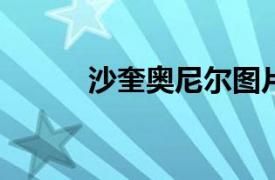 沙奎奧尼爾圖片（沙奎-奧尼爾）