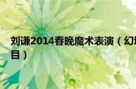 劉謙2014春晚魔術(shù)表演（幻境 2012年央視春晚劉謙表演魔術(shù)節(jié)目）