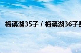 梅溪湖35子（梅溪湖36子是什么意思相關內容簡介介紹）