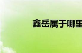 鑫岳屬于哪里（鑫岳人才網）