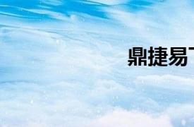 鼎捷易飛（鼎捷）