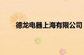 德龍電器上海有限公司（德龍電器 上海有限公司）