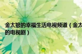 金太狼的幸福生活電視頻道（金太狼的幸福生活 2011年李小璐、王雷主演的電視劇）