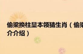 偷梁換柱顯本領猜生肖（偷梁換柱顯奇技是什么生肖相關內容簡介介紹）