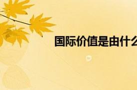 國際價值是由什么決定的（國際價值）