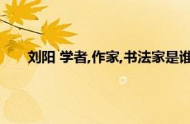 劉陽 學者,作家,書法家是誰（劉陽 學者、作家、書法家）