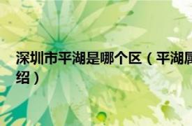 深圳市平湖是哪個區（平湖屬于深圳市的哪個區相關內容簡介介紹）