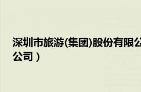 深圳市旅游(集團(tuán))股份有限公司（深圳市特游旅游集團(tuán)股份有限公司）