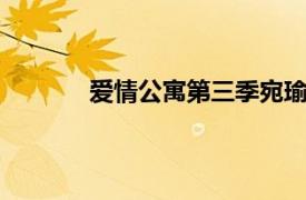 愛情公寓第三季宛瑜（愛情公寓3新娘宛瑜）