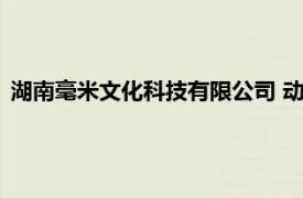 湖南毫米文化科技有限公司 動畫（湖南毫米文化科技有限公司）