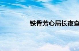 鐵骨芳心局長夜查是哪集?（鐵骨芳心）