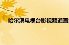 哈爾濱電視臺(tái)影視頻道直播（哈爾濱電視臺(tái)影視頻道）