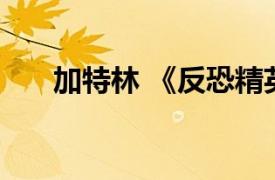 加特林 《反恐精英online》中的道具