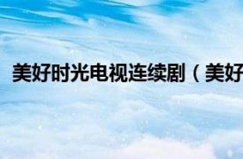 美好時光電視連續劇（美好時光 2015年中國拍攝電視劇）