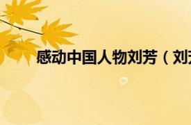 感動(dòng)中國人物劉芳（劉芳艷——感動(dòng)中國的女孩）