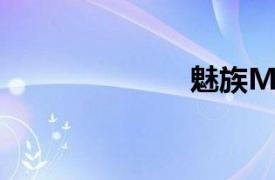 魅族MX264GB